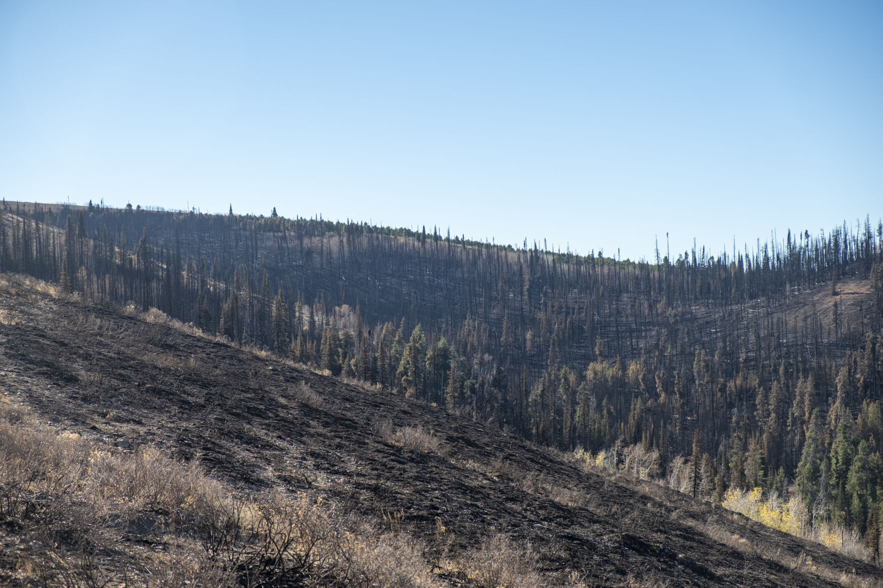 Badger Fire damage south end